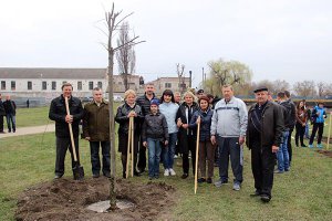 Медики Кропивницького посадили "дерево миру" на Набережній