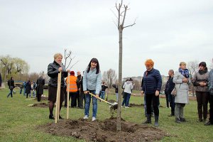 Медики Кропивницького посадили "дерево миру" на Набережній