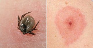 ������ ������� ������� ������� �����: �� ���������� �� �����