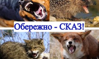 ������� �������� ��������� ������ ʳ������������ ������ ���� ������� �������� ��� ���������� �������� � ������ � ʳ������������ ������