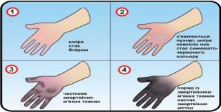 �� �������� ��������������� �� �����������: ������� �������