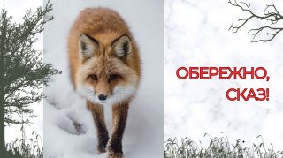 �����, ������� �� ����: �� ��������� ����� ������� � �� ������ ��� ����